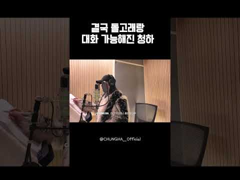 CHUNG HA 청하 | 결국 돌고래랑 대화 가능해진 청하 thumbnail