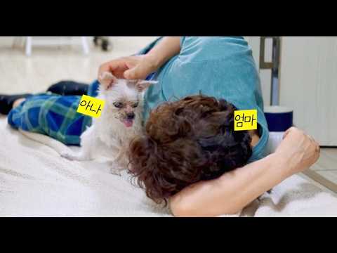 🏥 병원 가는날! 16살 아나의 건강 상태 체크 ☝️(17) thumbnail