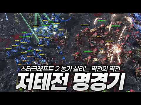 스타2 농가 살리는건 저테전 명경기뿐인가 thumbnail