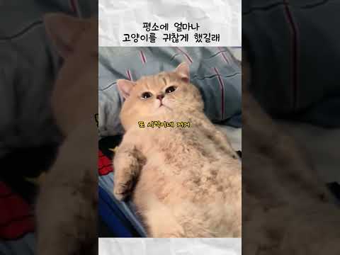 평소에 얼마나 귀찮게 했길래 thumbnail