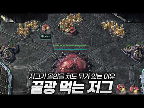 뒤가 있는 꿀광 저그 thumbnail