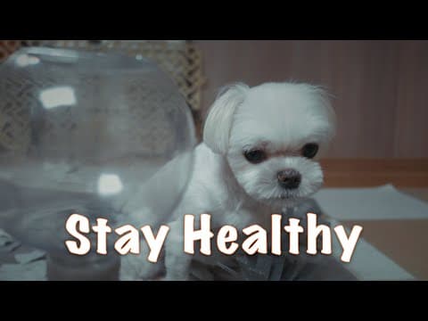 (eng sub)(4k)How to give your dogs medicine (한글자막) thumbnail