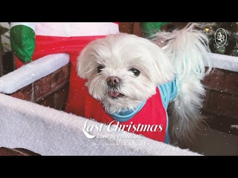 영재(YOUNGJAE)- "Last Christmas (2025 Ver.)" (Original song: Wham!) thumbnail