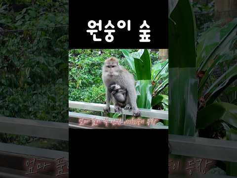 AI 아니에요 thumbnail