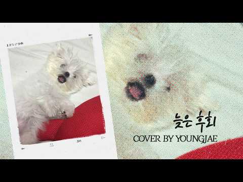 영재(YOUNGJAE)- "늦은 후회" (Original Song: Bobo) thumbnail
