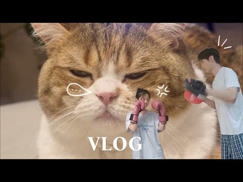 평범해서 더 사랑스러운 일상 thumbnail