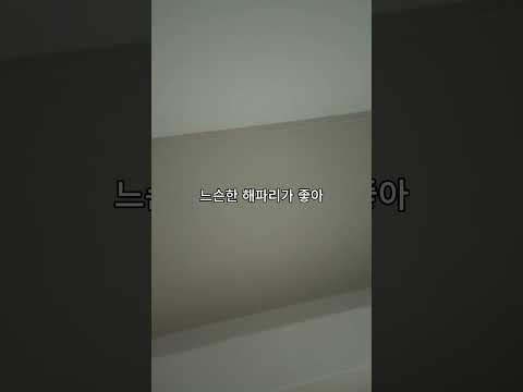 cold anymore  #morning #cover #music #노래 #연애 #kpop #아일릿 thumbnail