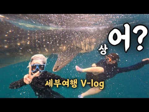 세부 브이로그ㅣ고래상어 보고 힐링하고💕 가와산에서 PTSD😵‍💫 thumbnail