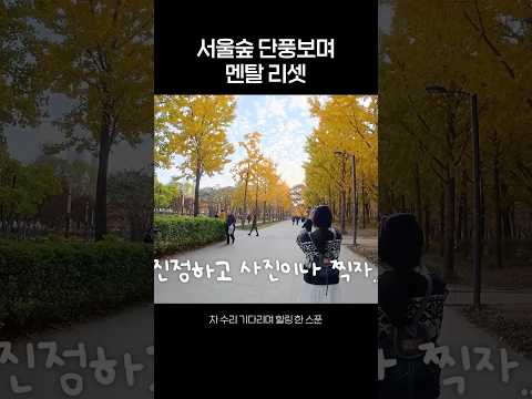 서울숲 단풍보며 멘탈 리셋 thumbnail