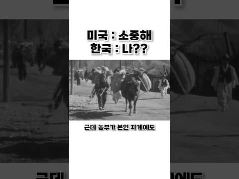 외국인이 우리나라 소달구지를 보고 감탄한 이유 thumbnail