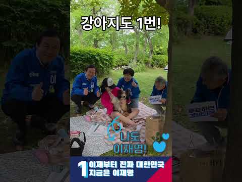 김영춘이 간다! 강아지도 1번 부산도 1번!! #21대대선 #더불어민주당 #이재명 #지금은이재명 #진짜대한민국 #부산시민공원 #부산디비자 thumbnail
