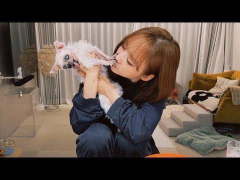 말티즈 성질머리의 9할은 주인이다 🤭 (4) thumbnail