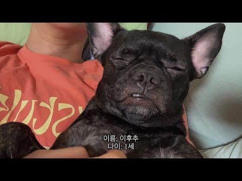 그녀의 아침 thumbnail