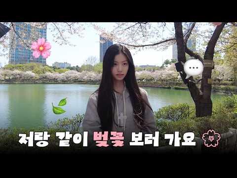 저랑 같이 벛꽃 보러 가요🌸 | 벛꽃 구경 브이로그 in 석촌호수공원 thumbnail