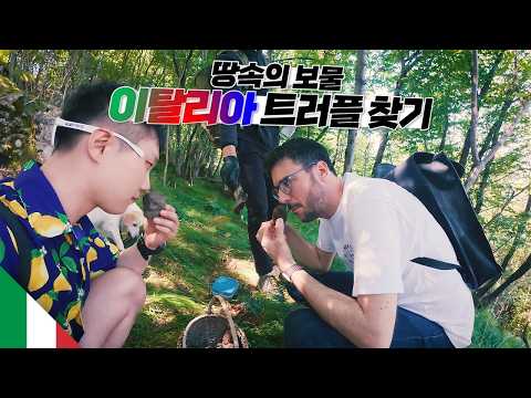 파브리 형님과 함께 이탈리아 정통 방식의 트러플 찾기 【이탈리아5】 thumbnail