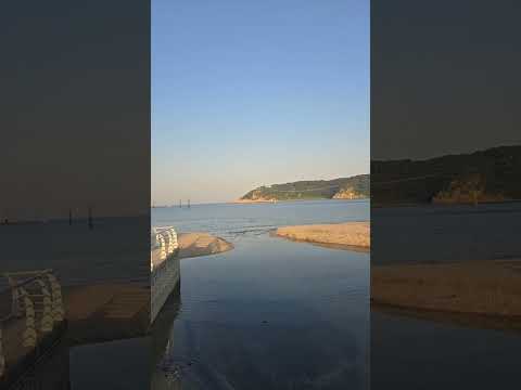 [LIVE] 김상욱 울산시장 예비후보 지지방문! thumbnail