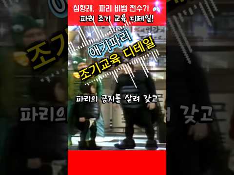 심형래. 애기파리 '비비기' 비법 전수🪰 #심형래  #빵실이 #shorts thumbnail
