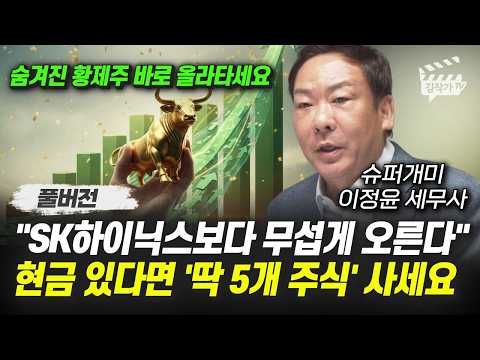 SK하이닉스보다 무섭게 오른다, 현금 있다면 ‘딱 5개 주식' 사세요 (슈퍼개미 이정윤 세무사 풀버전) thumbnail
