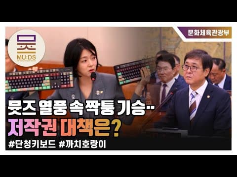 [2025 문체위 국정감사] 뮷즈 열풍 속 짝퉁 기승‥ 저작권 대책은? thumbnail