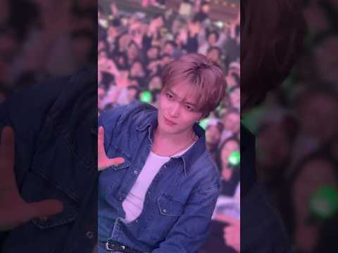 2026 Cherry Blossom Music Festival thumbnail