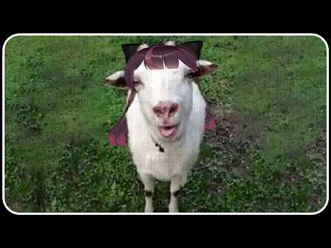 자꾸 그러면 동물로 온다 thumbnail