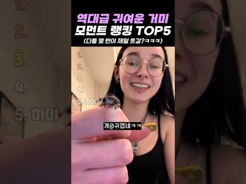 역대급 귀여운 거미 모먼트 랭킹 TOP5 thumbnail