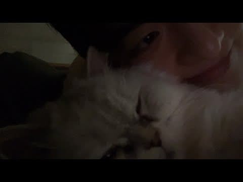 sub) 고양이님의 새집 적응기| 누나가 비명 지른 이유!? thumbnail