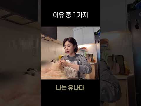 펫아트돌 자격증2 thumbnail