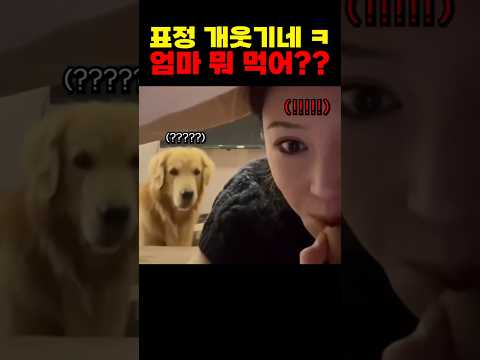 몰래 먹다 걸렸는데 표정이 ㅋㅋ thumbnail