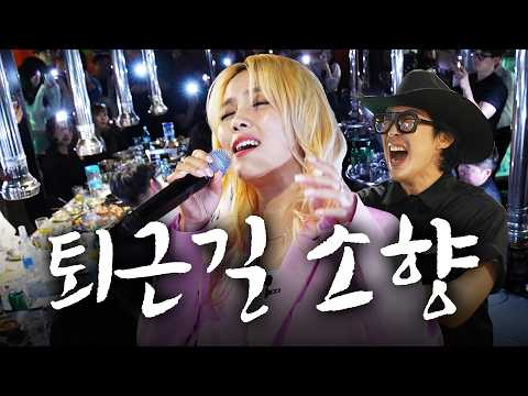 [401라이브] 퇴근 후 삼겹살에 소주 먹다가 듣는 소향의 미친 라이브  l ROSA, 애국가, 골든(Golden), 바람의 노래, 꽃비 thumbnail