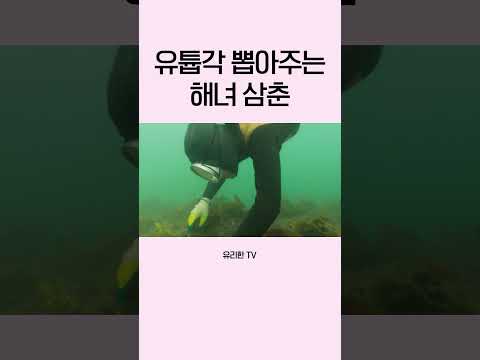 유튜브 성공 비법 제 1장. 꾸며내라 thumbnail