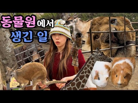 사랑스러운 동물들로 힐링하고 가세요 thumbnail