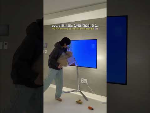 강아지 롤러코스터 thumbnail