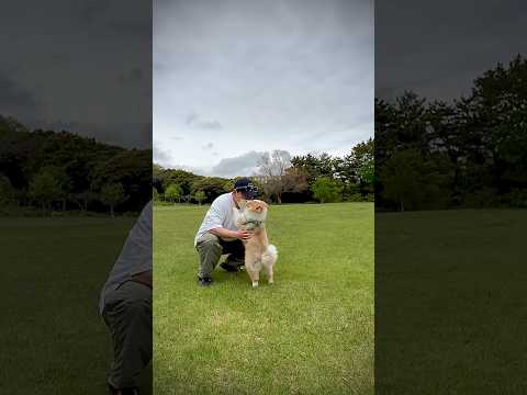 평온한 아침 thumbnail