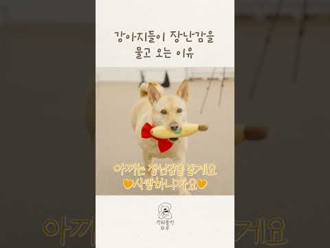 제일 좋은 건 함께 하고 싶어요 🐶໒꒱ thumbnail