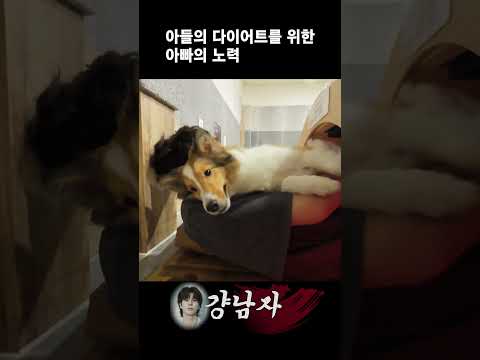 아들의 다이어트를 위한 아빠의 노력 thumbnail