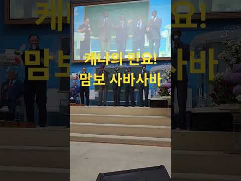 맘보 사바사바! 아멘 thumbnail