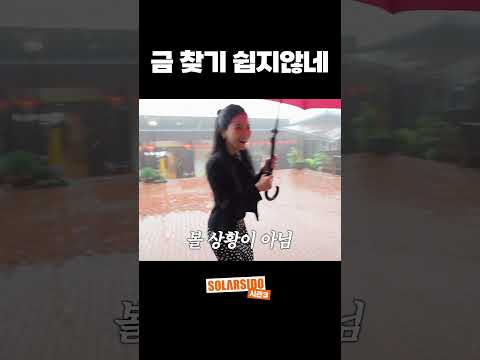 비가와도 촬영은 해야지 thumbnail