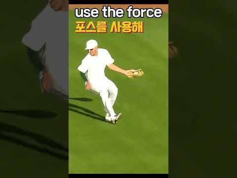 해가 시야를 가릴 때! #mlb #야구 #shorts thumbnail