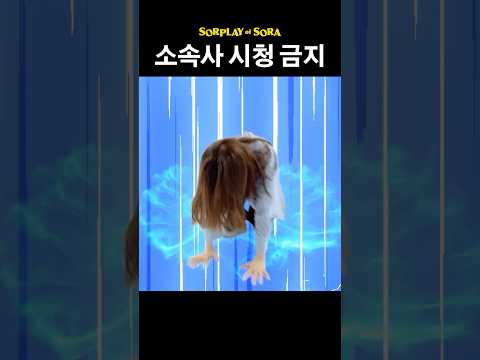 강소라 소속사 시청 금지 thumbnail
