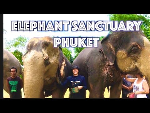 푸켓 여행 VLOG Part II: Elephant Sanctuary / 코끼리와 목욕 체험. 안했으면 어쩔뻔? Magical time with elephants. thumbnail