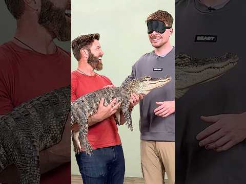 Guess The Animal thumbnail