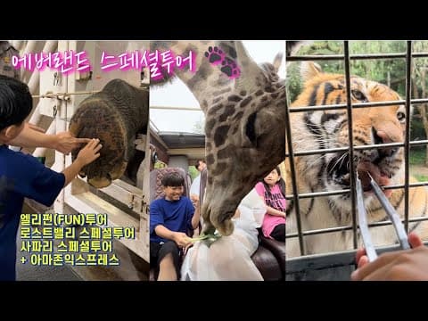 에버랜드 스페셜투어 💵 (엘리펀투어, 사파리, 로스트밸리) 사육사 체험 thumbnail