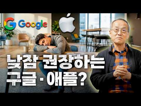 세계적인 기업이 낮잠을 권장한다고? 낮잠의 과학 | 최재천의 아마존 | 전지적 관찰자 시점 thumbnail