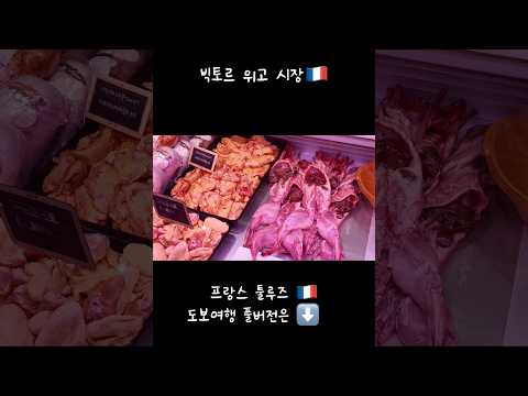 구경한게 많은 #툴루즈  #빅토르위고시장  #추천 #프랑스남부 #여행지 #도보여행 #europe #travel #vlog thumbnail