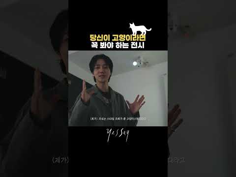 🐈‍⬛ 고양이들 다 모여라 thumbnail