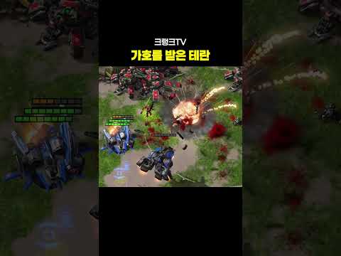 가호를 받은 테란 thumbnail