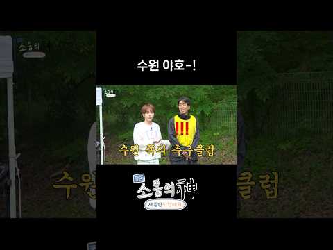 진짜 수원느낌이야 thumbnail