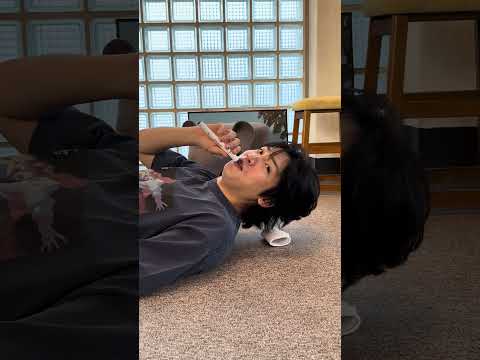 그래서 이게 뭔디!! thumbnail