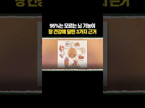 장이 좋아지면 머리가 맑아지는 이유 thumbnail